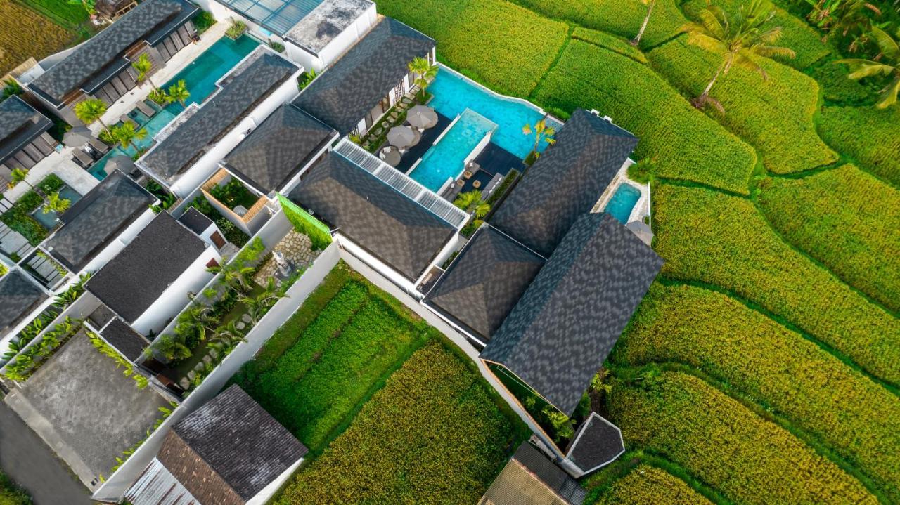 Villa Mia By Balisuperhost أوبود المظهر الخارجي الصورة