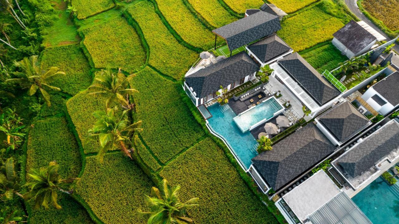 Villa Mia By Balisuperhost أوبود المظهر الخارجي الصورة