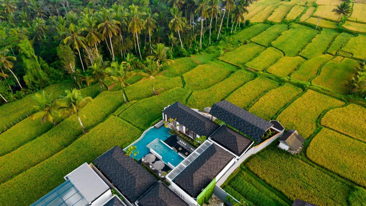 Villa Mia By Balisuperhost أوبود المظهر الخارجي الصورة